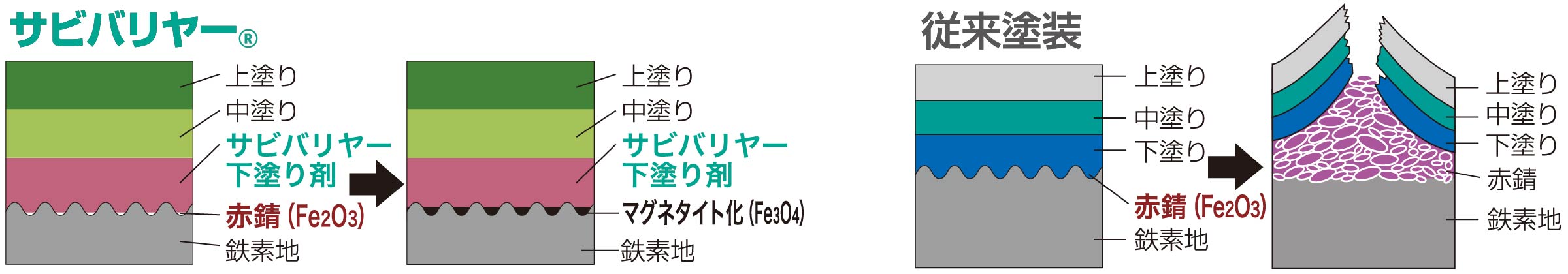 塗膜断面比較図